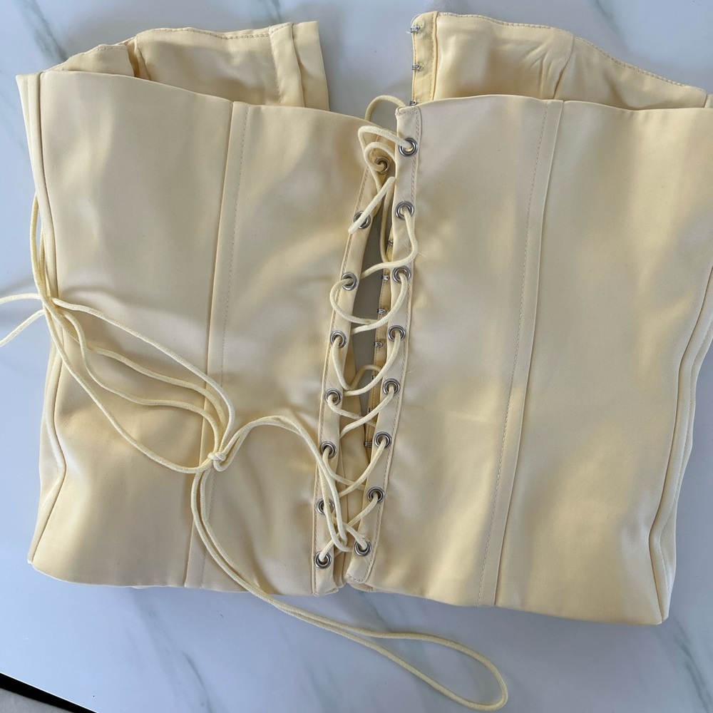 Danielle guzio corset